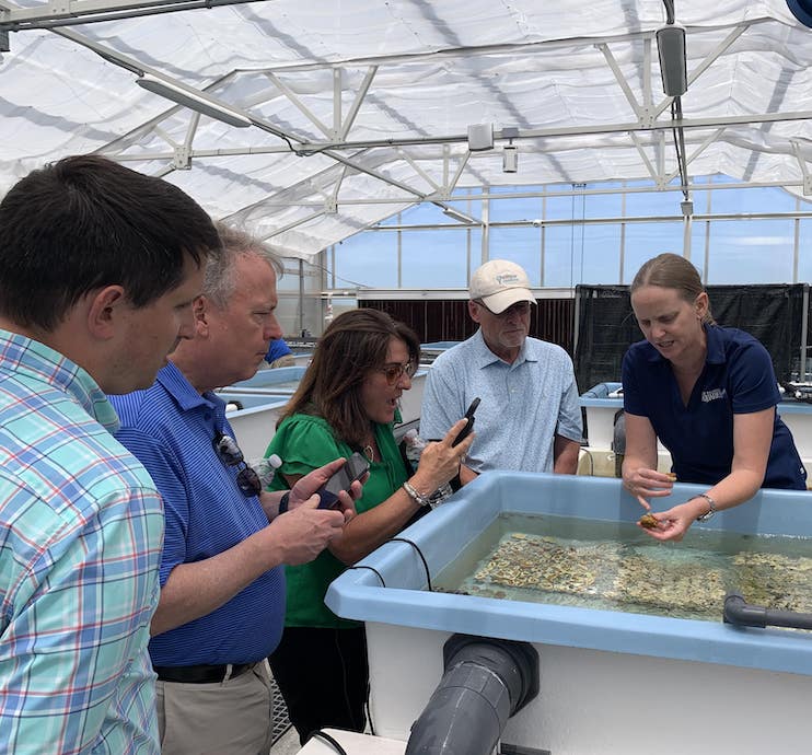 Doreen Caudell - Florida Aquarium Board Member